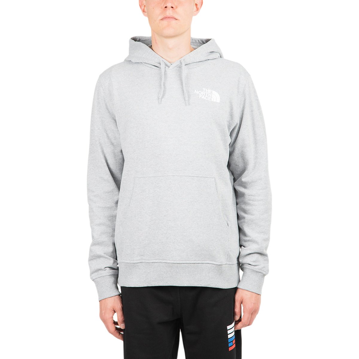 Image of The North Face International Collection Classic Climb Hoodie (Light Gr