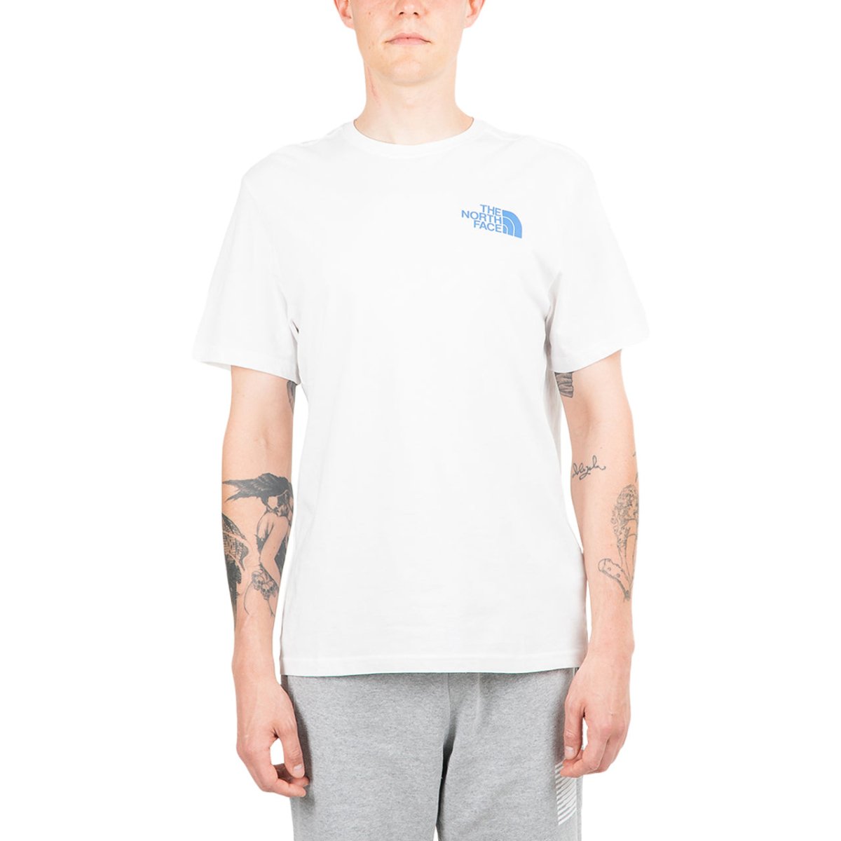 Image of The North Face International Collection Climb GR T-Shirt (White)