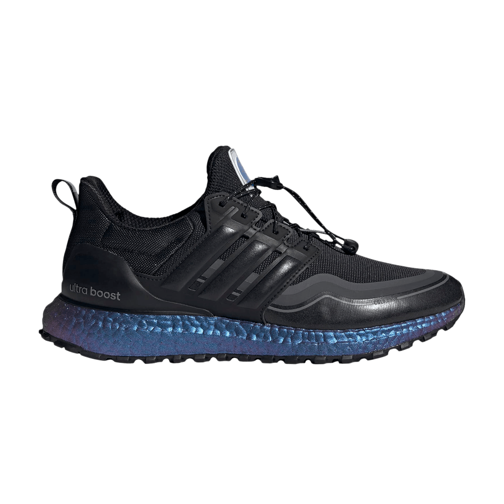 Image of adidas ISS US National Lab x UltraBoost ColdpointRDY DNA Core Black (H05257)