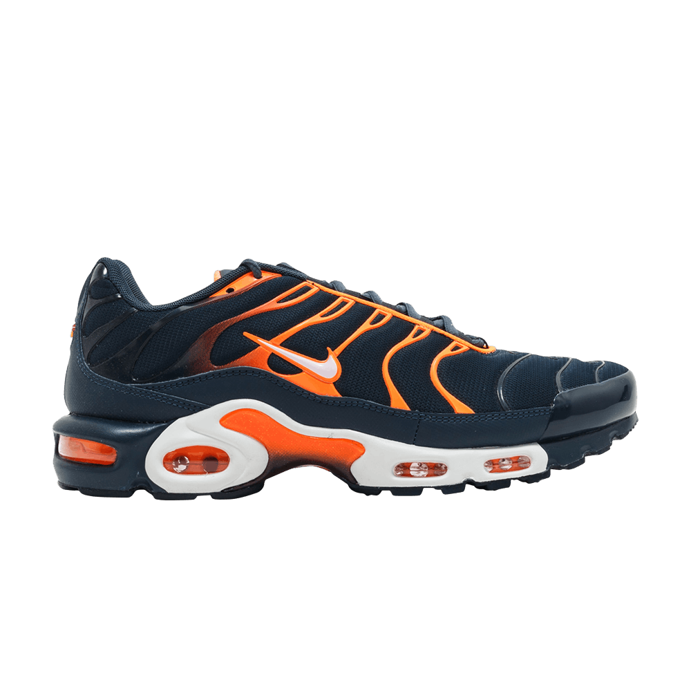 Image of Nike Air Max Plus Armory Navy (852630-403)