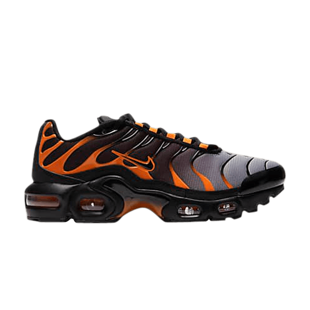 Image of Nike Air Max Plus GS Black Team Orange (DJ4619-001)