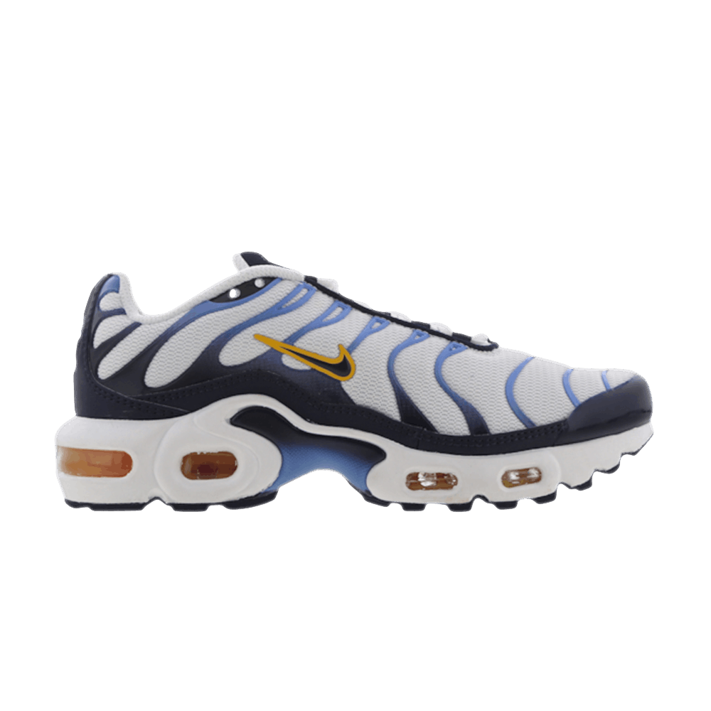 Image of Nike Air Max Plus GS White Midnight Navy (CD0609-100)