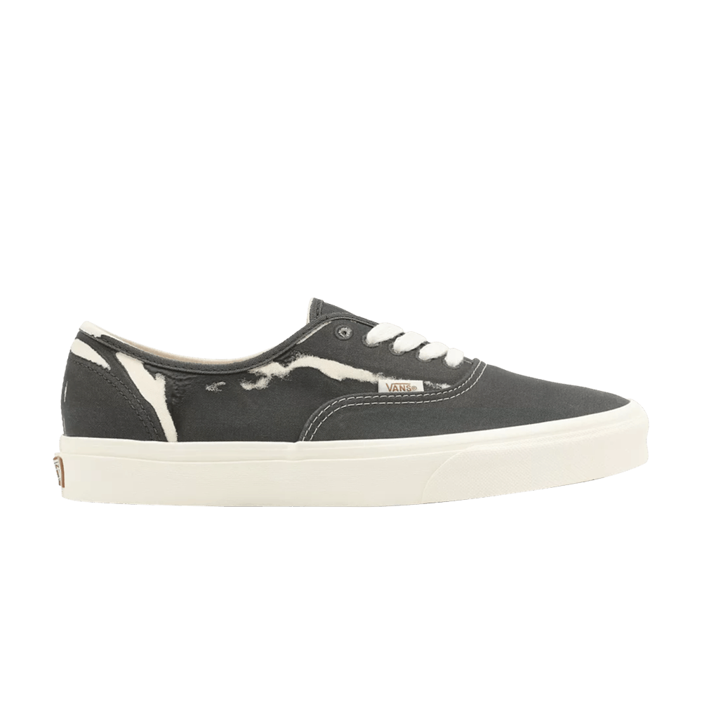 Image of Vans Authentic Eco Theory (VN0A5KRD8CO)