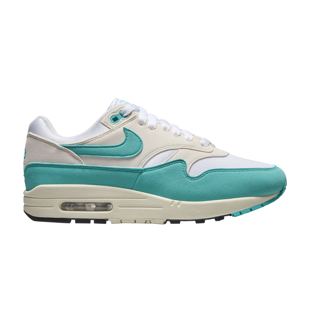 Image of Wmns Air Max 1 Dusty Cactus (DZ2628-107)