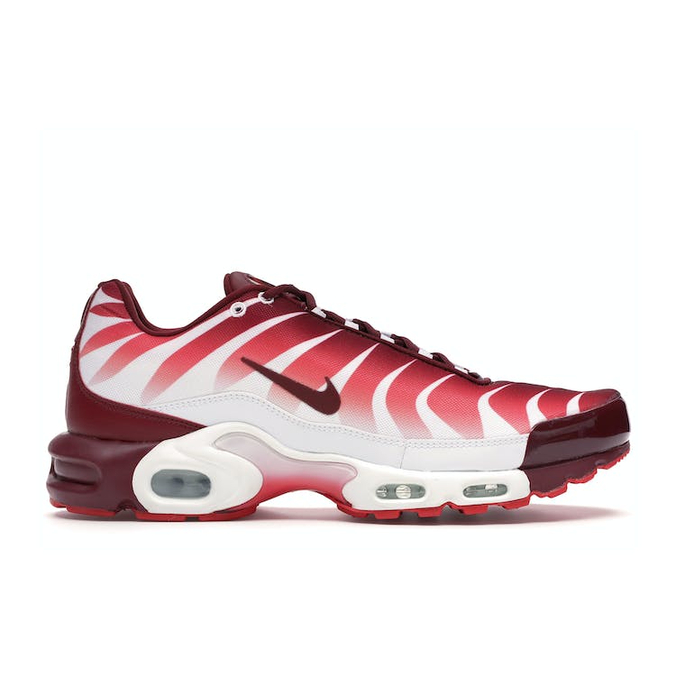 Image of Air Max Plus After the Bite