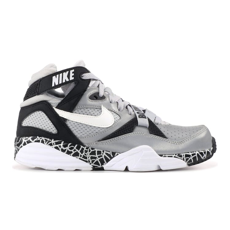 Image of Air Trainer Max 91 Bo Knows Raiders