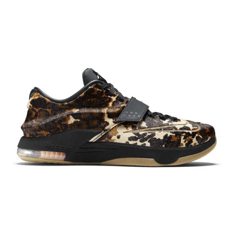 Image of KD 7 Longhorn State