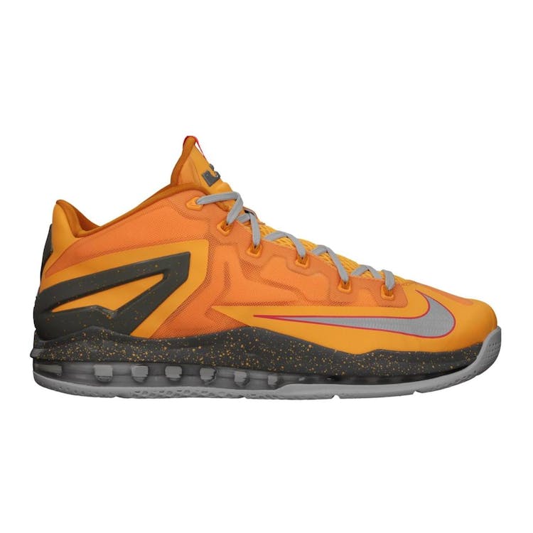 Image of LeBron 11 Low Floridian