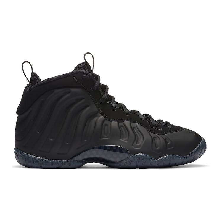 Image of Nike Air Foamposite One Anthracite 2020 (GS)